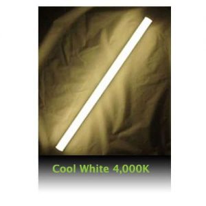 LED T8 Cool White 4000k